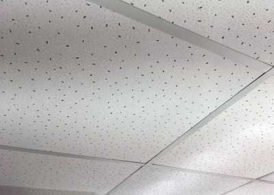 Taşyünü Tavan Sistemleri